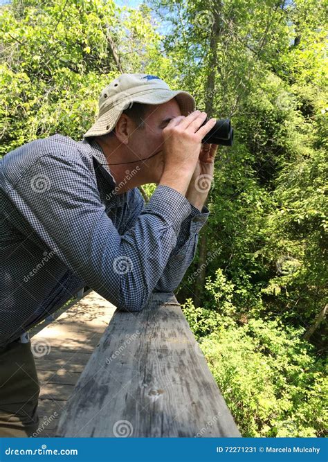 Man observing nature stock image. Image of shirt, exploring - 72271231