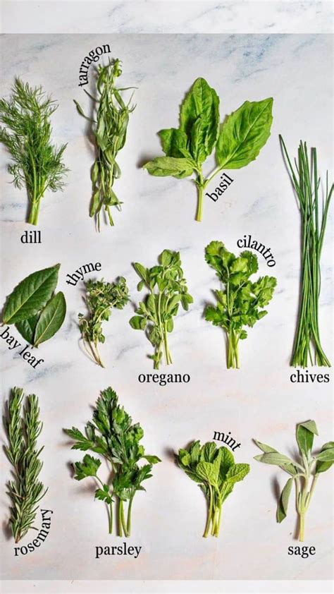 These 12 Fresh Herbs will Transform Your Simple Meals - The ...