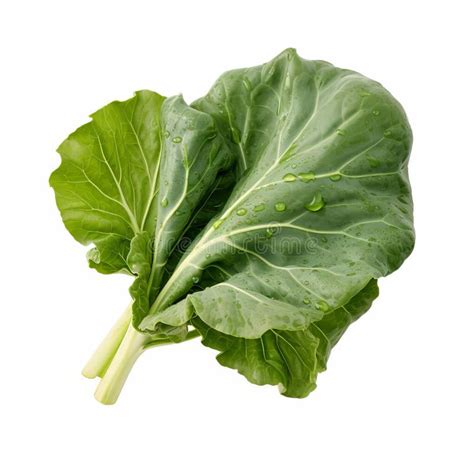 Smart storage: How to keep leafy greens crisp & vibrant for foodie flatlays?