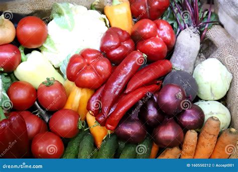 Various Freshly Picked Harvested Vegetables Stock Photo - Image of ...