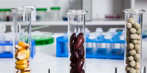 Methods for analyzing new foods on a conference for analytical food ...