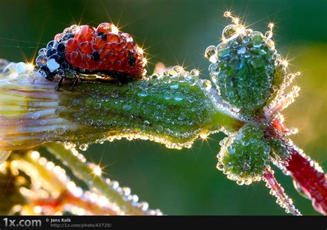 The Very Best Of Macro Photography Pt.2 [20 Pics] | I Like To Waste My Time