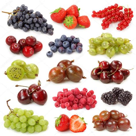 Fresh berries collection Stock Photo by ©Elena Schweitzer 5451235
