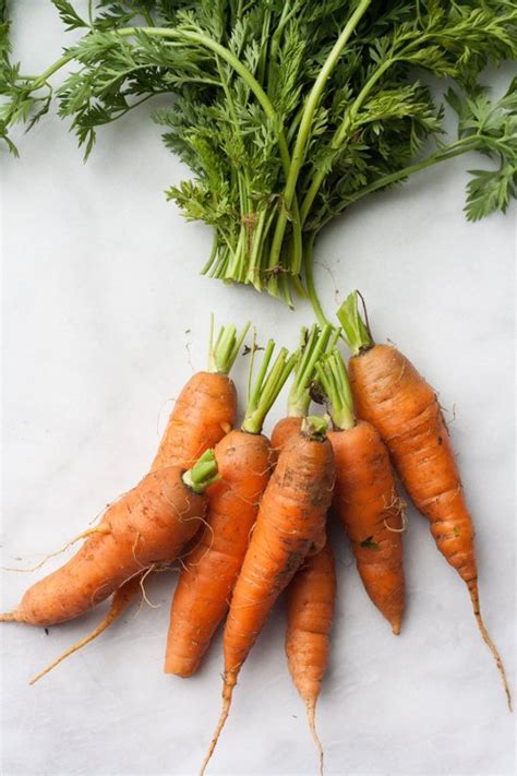 15 Easy Ways to Keep Vegetables Edible Longer