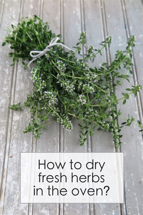 drying_fresh_herbs