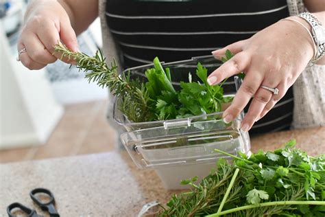 How to keep fresh herbs vibrant longer for visual appeal & flavor?