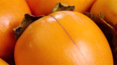 Persimmon Images – Browse 122,280 Stock Photos, Vectors, and Video ...