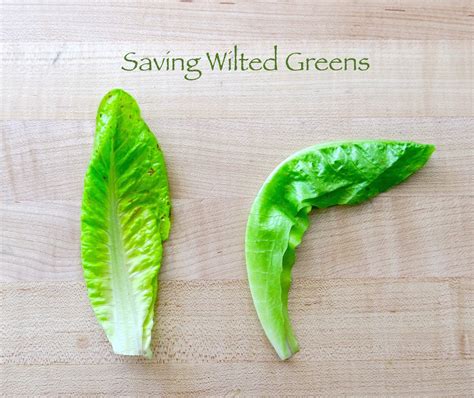 Saving Wilted Greens : 6 Steps (with Pictures) - Instructables