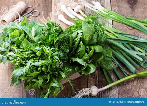 Variety of Culinary, Aromatic Organic Fresh Herbs Stock Photo - Image ...