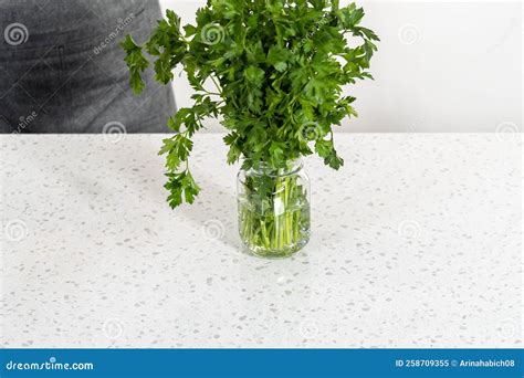 Fresh parsley stock image. Image of glass, ingredient - 258709355