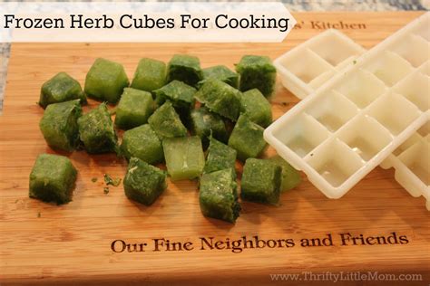 Frozen Herb Cooking Cubes » Thrifty Little Mom