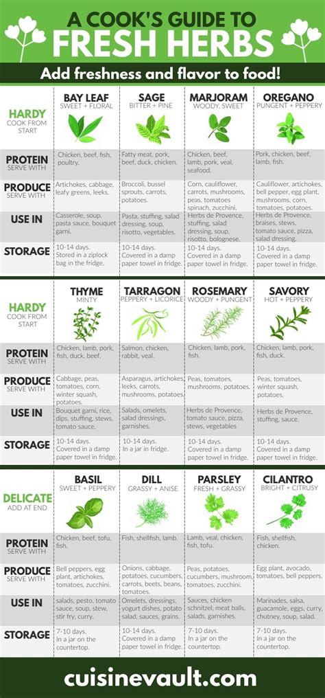 Cooking herbs – Artofit