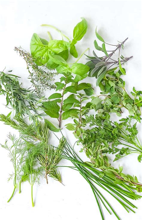Cooking with Fresh Herbs {Recipes and Tips} | by Leigh Anne Wilkes
