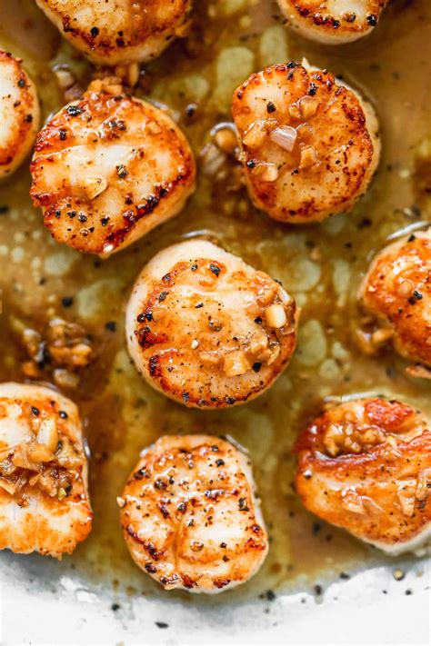 Cooked Scallops