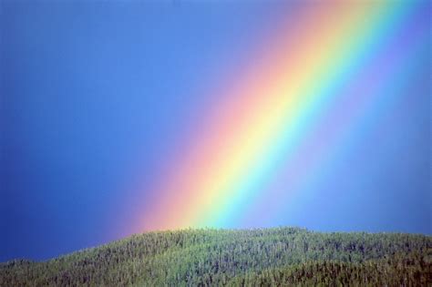 How Many different colors are there in a Rainbow