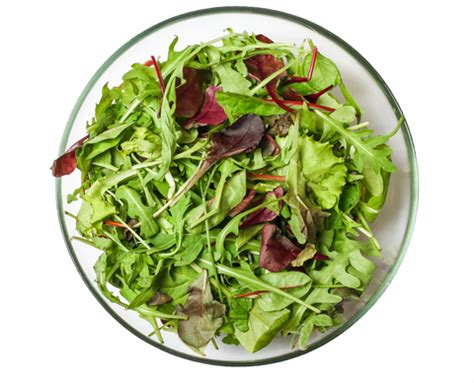 Salad Greens