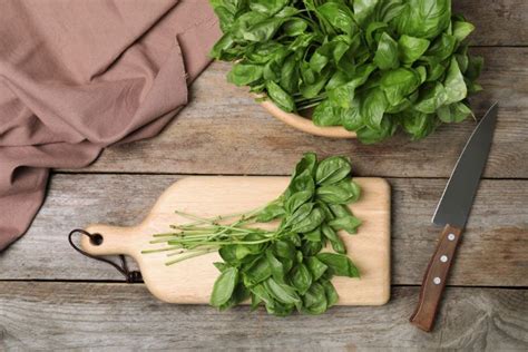 Never lose money on wilted herbs again. Here's 5 ways you can keep them ...