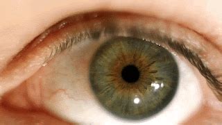 How do specific visual cues in a recipe guarantee vibrant colors and textures?