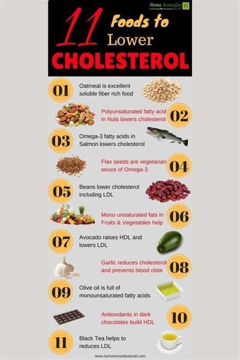Cholesterol food chart 20 free pdf printables – Artofit