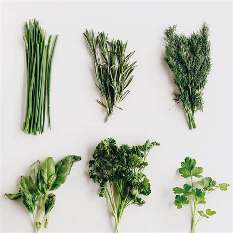 How To Keep Herbs Fresh - MyKitchen