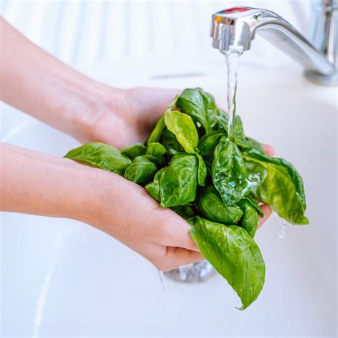 How to Freeze Fresh Herbs Without Losing Flavor | TheGrow