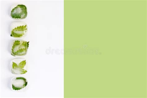 Green Leaves of Herbs Frozen in Ice Cubes. Stock Photo - Image of ...