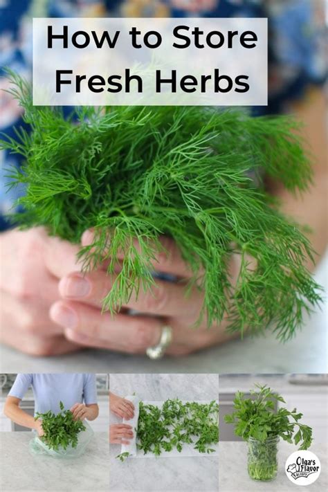 How To Store Fresh Herbs - Olga's Flavor Factory