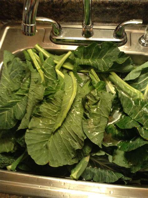 How to cook fresh greens - B+C Guides